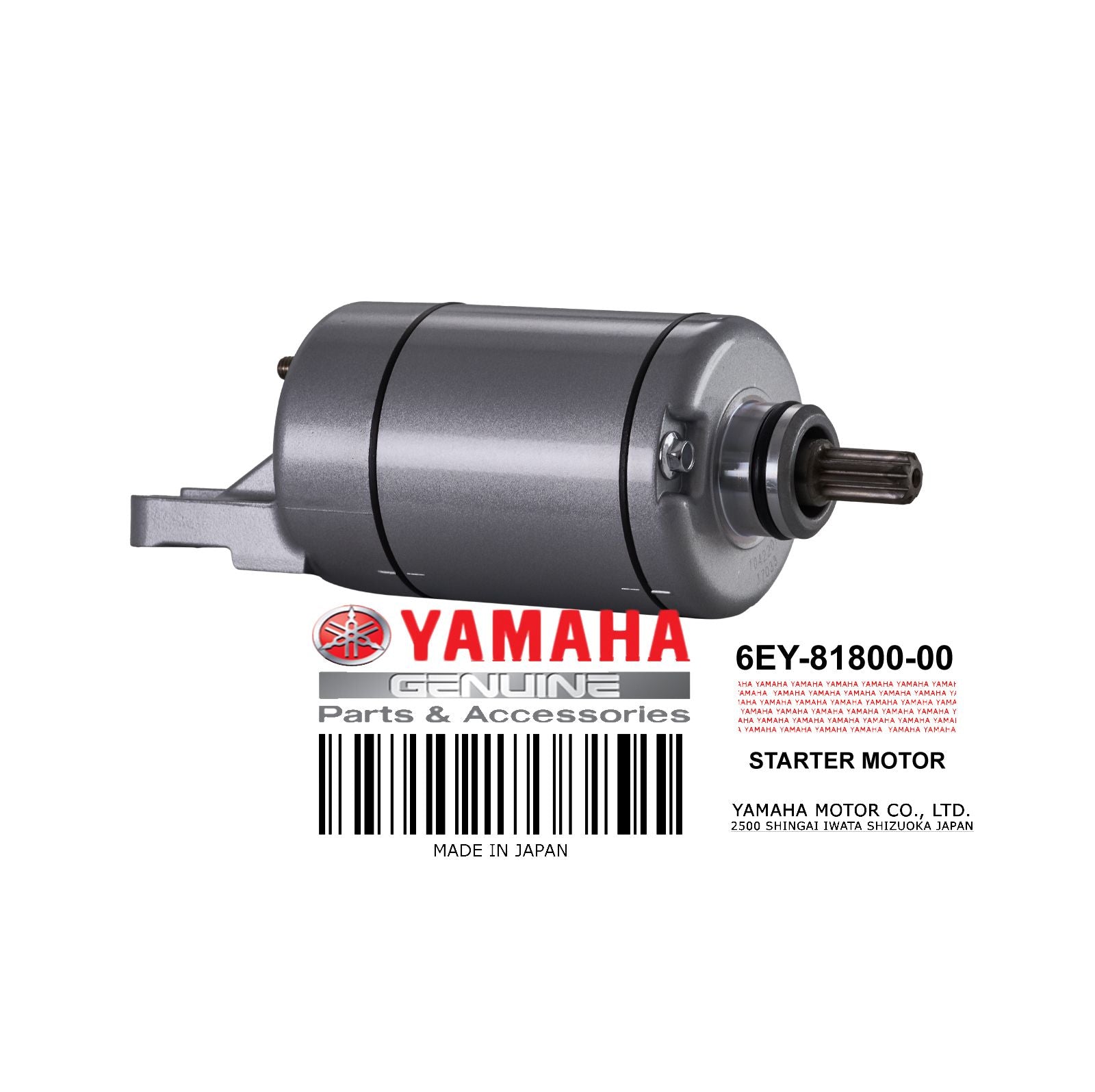 STARTING MOTOR ASSY