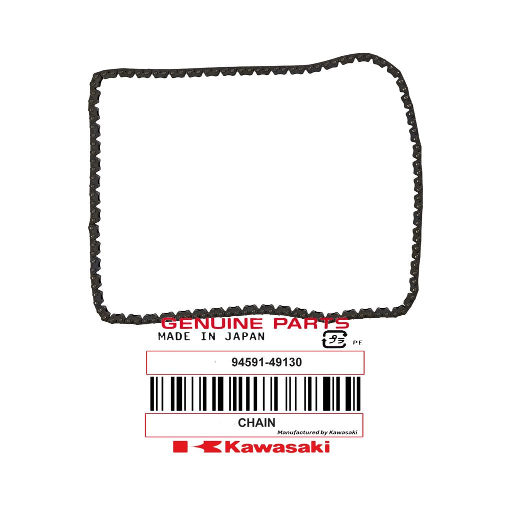 Yamaha 4-Stroke Timing Chain