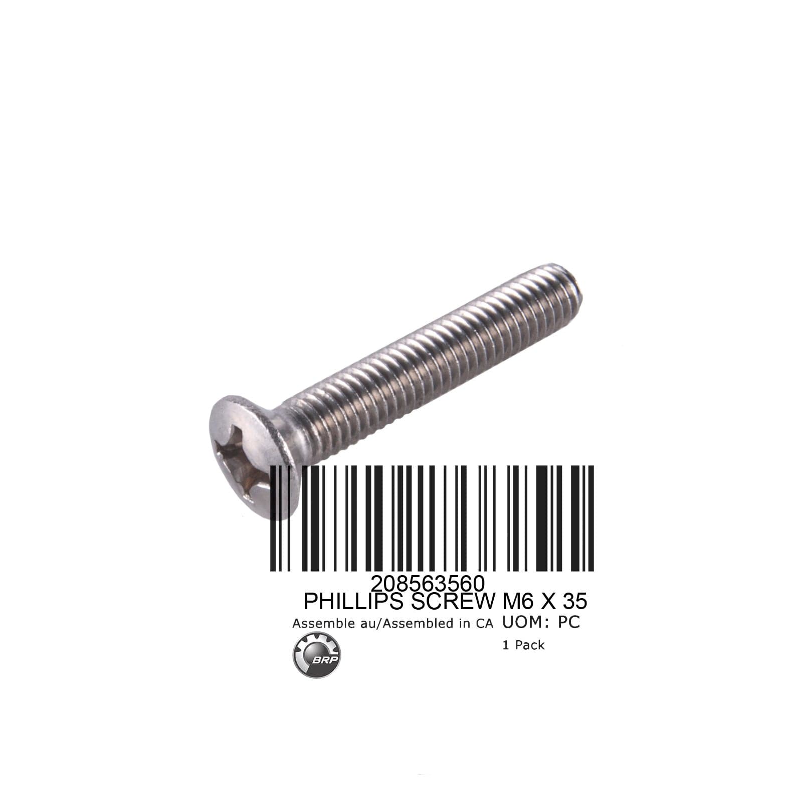 PHILLIPS SCREW M6 X 35