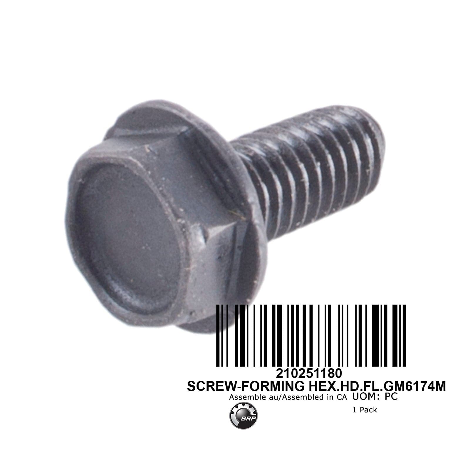 SCREW-FORMING HEX.HD.FL.GM6174M