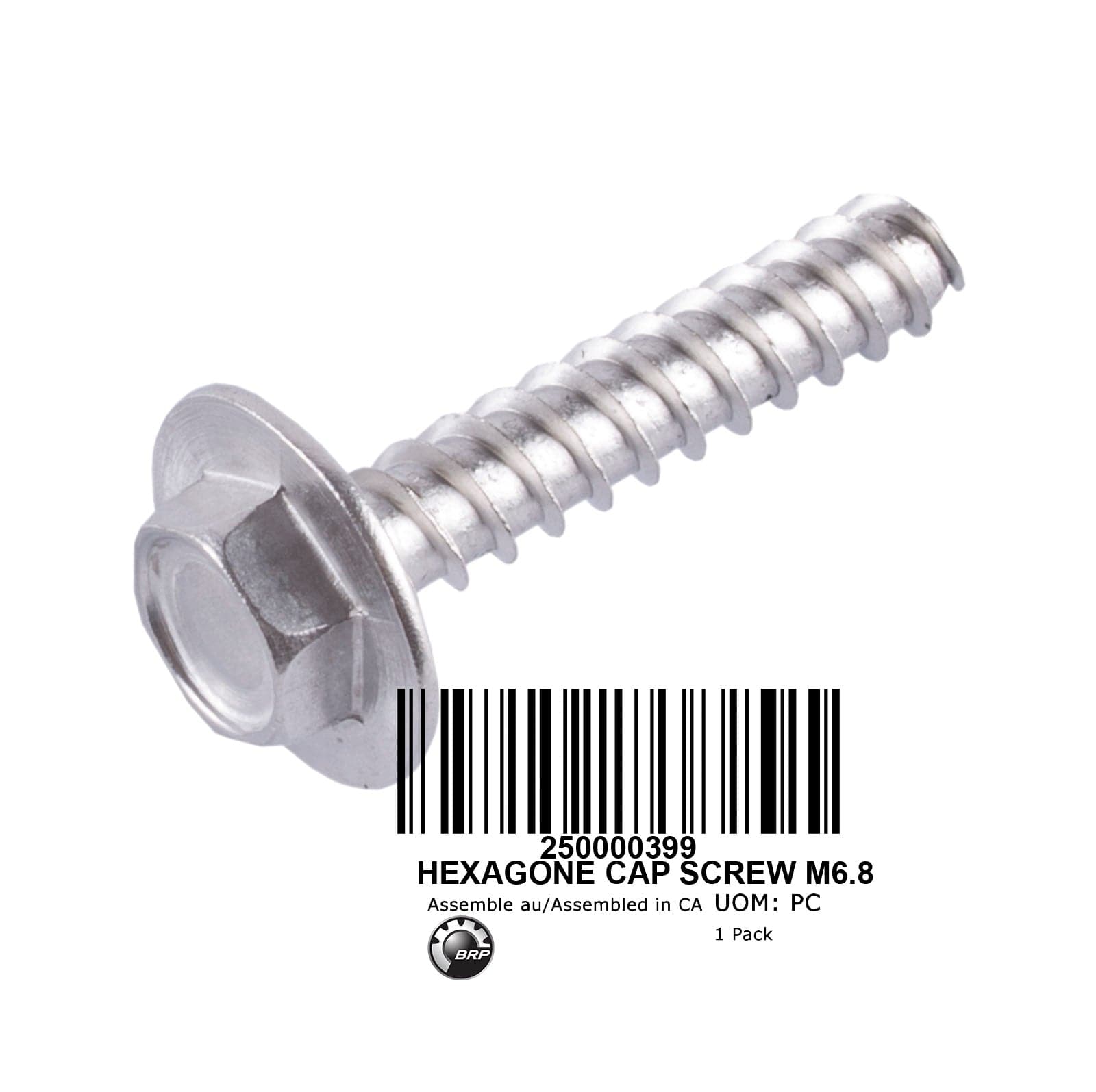 HEXAGONE CAP SCREW M6.8