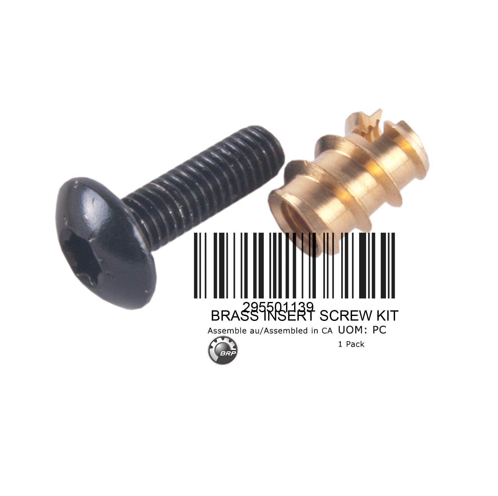 BRASS TO INSERT SCREW KIT