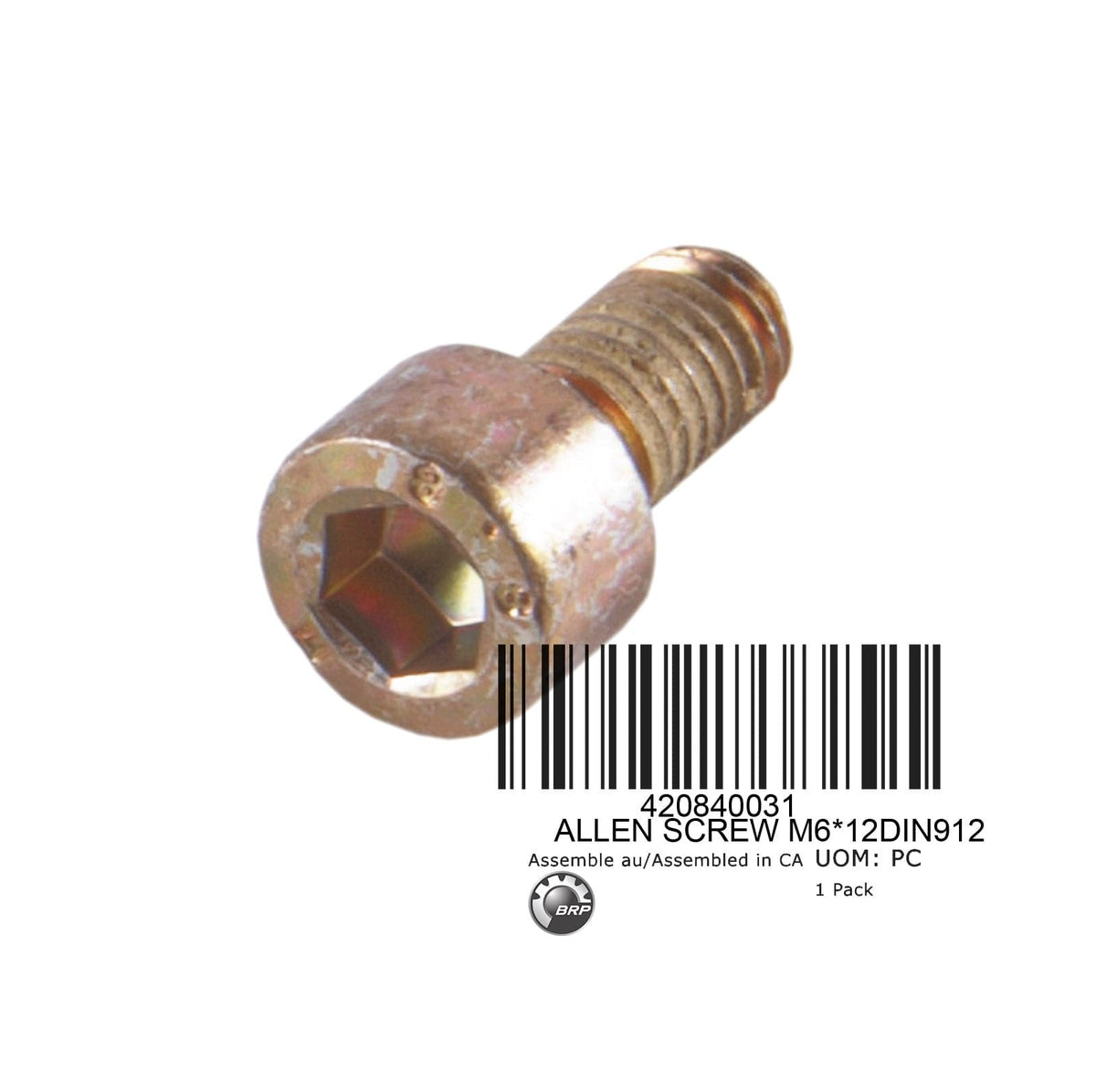 Allen Screw 420840031