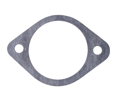 Polaris Flame Arrestor Gasket