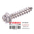 SCREW TAPPING