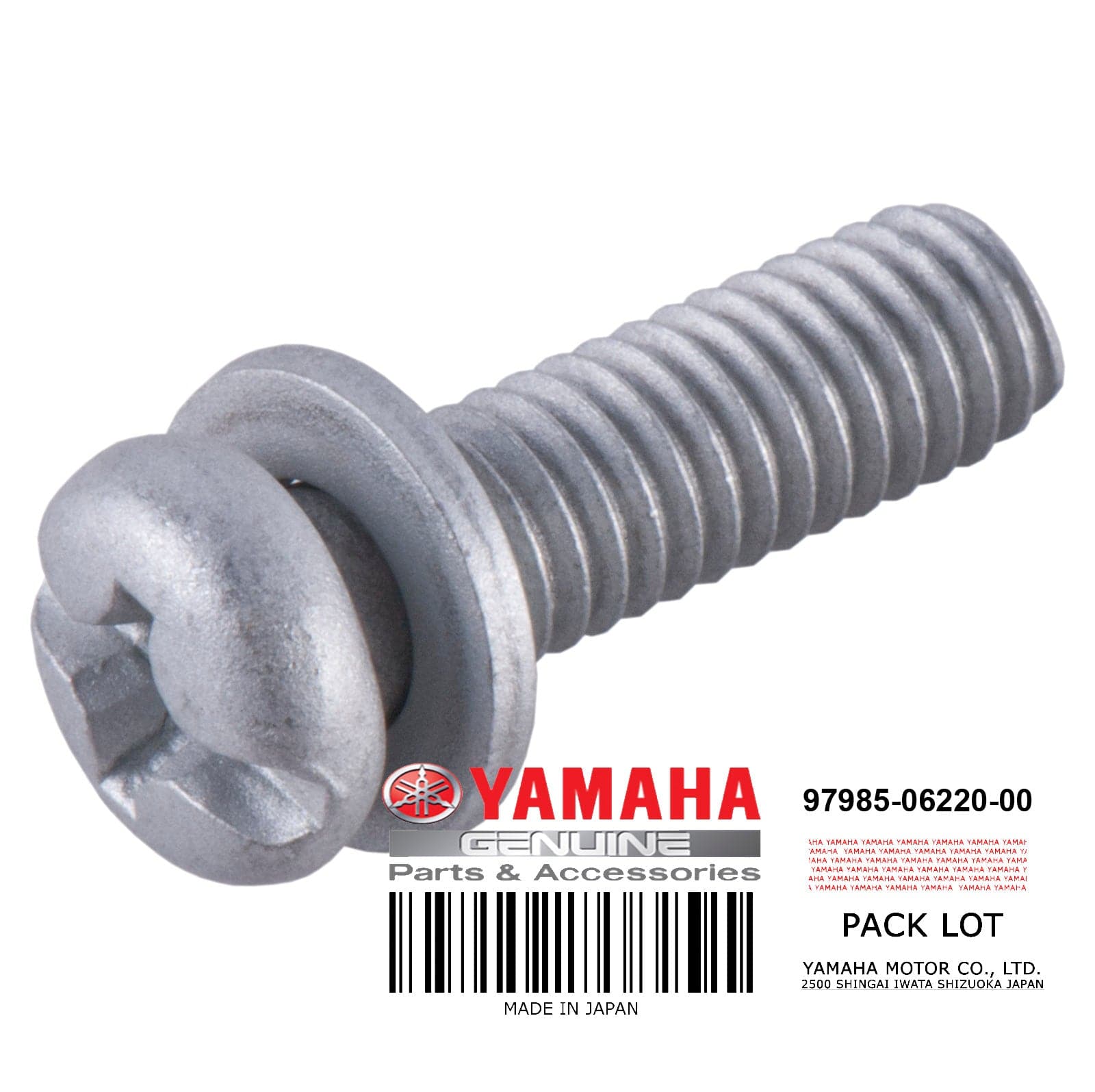 SCREW W/ WASHER